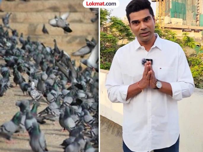 MNS has decided to launch a protest against unauthorized pigeon houses in Mumbai | कबुतर जा जा जा...; मुंबईतल्या अनधिकृत कबुतरखान्यांविरोधात मनसेचा आक्रमक पवित्रा MNS has decided to launch a protest against unauthorized pigeon houses in Mumbai | कबुतर जा जा जा...; मुंबईतल्या अनधिकृत कबुतरखान्यांविरोधात मनसेचा आक्रमक पवित्रा