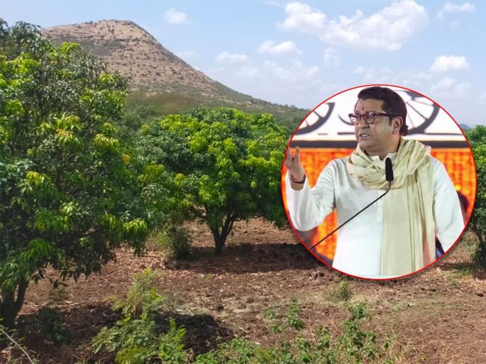 mns chief Raj Thackeray s opposition to destroying Nashik s oxygen hub officials meeting in Mumbai | नाशिकचा ऑक्सिजन हब नष्ट करण्यास राज ठाकरे यांचा विरोध, मुंबईत पदाधिकाऱ्यांची बैठक mns chief Raj Thackeray s opposition to destroying Nashik s oxygen hub officials meeting in Mumbai | नाशिकचा ऑक्सिजन हब नष्ट करण्यास राज ठाकरे यांचा विरोध, मुंबईत पदाधिकाऱ्यांची बैठक