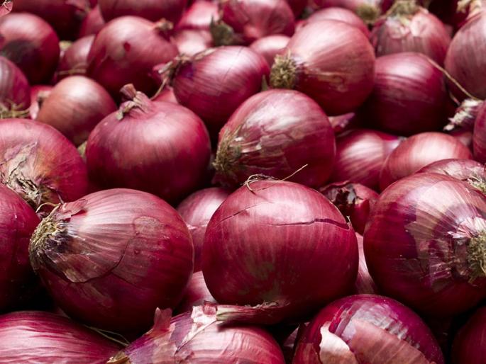 Onion purchase from NCCF started, only two centers in Nashik district | एनसीसीएफकडून कांदा खरेदी सुरू, नाशिक जिल्ह्यात केवळ दोन केंद्रे Onion purchase from NCCF started, only two centers in Nashik district | एनसीसीएफकडून कांदा खरेदी सुरू, नाशिक जिल्ह्यात केवळ दोन केंद्रे