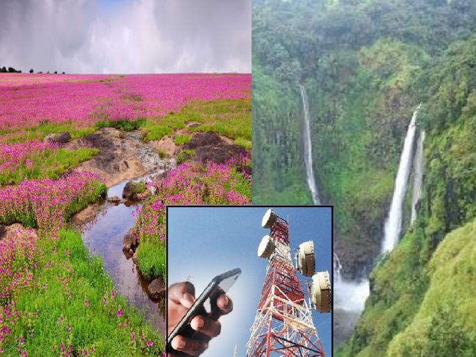 There is no mobile range of BSNL in Parli, Kas and Thoseghar areas of Satara district | Satara: ठोसेघर, कास, परळी परिसरात बीएसएनएल सेवा ठप्प; रेंज नसल्यामुळे नागरिक हैराण  There is no mobile range of BSNL in Parli, Kas and Thoseghar areas of Satara district | Satara: ठोसेघर, कास, परळी परिसरात बीएसएनएल सेवा ठप्प; रेंज नसल्यामुळे नागरिक हैराण