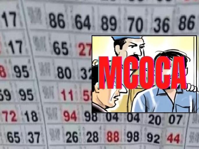 Matkaking Sameer Kachhi along with 42 accomplices in Maharashtra Control of Organised Crime, first major operation in Maharashtra | मटकाकिंग समीर कच्छीसह ४२ साथीदारांना मोक्का, महाराष्ट्रातील पहिली मोठी कारवाई Matkaking Sameer Kachhi along with 42 accomplices in Maharashtra Control of Organised Crime, first major operation in Maharashtra | मटकाकिंग समीर कच्छीसह ४२ साथीदारांना मोक्का, महाराष्ट्रातील पहिली मोठी कारवाई