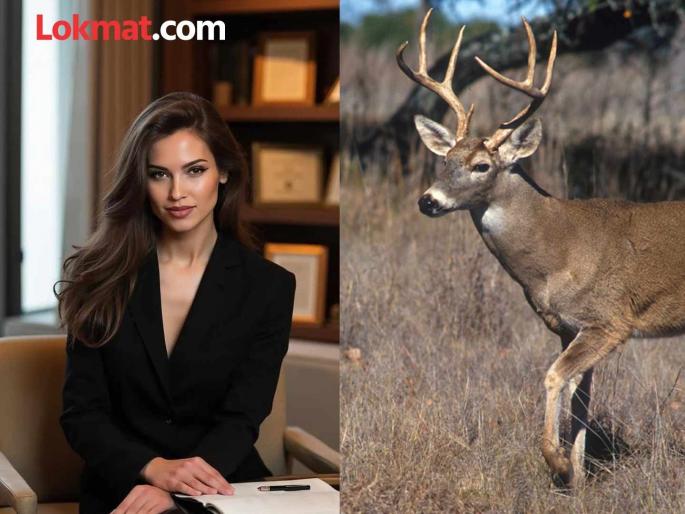 russian model Kseniya Alexandrova died in accident after deer hit her car | हरीण बिथरलं, कारला धडक दिली अन्...; विचित्र अपघातात प्रसिद्ध मॉडेलने गमावला जीव, ४ महिन्यांपूर्वीच झालेलं लग्न