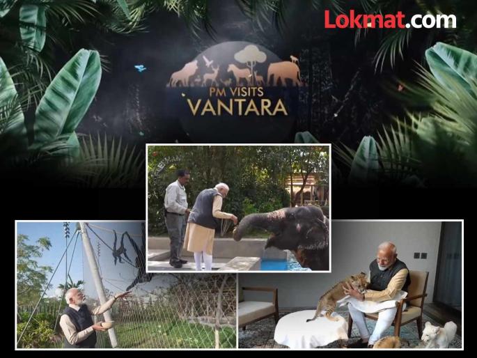 vantara zoo to be set up in the maharashtra state on the lines of gujarat and proposal to the central govt soon | गुजरातच्या धर्तीवर राज्यात साकारणार वनतारा प्राणिसंग्रहालय, लवकरच केंद्राकडे प्रस्ताव vantara zoo to be set up in the maharashtra state on the lines of gujarat and proposal to the central govt soon | गुजरातच्या धर्तीवर राज्यात साकारणार वनतारा प्राणिसंग्रहालय, लवकरच केंद्राकडे प्रस्ताव