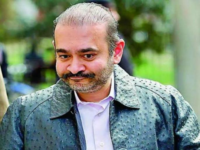 Will commit suicide if extradited to India; Nirav Modi threatens before court | भारतात प्रत्यार्पण केल्यास आत्महत्या करेन; नीरव मोदीची न्यायालयासमोरच धमकी Will commit suicide if extradited to India; Nirav Modi threatens before court | भारतात प्रत्यार्पण केल्यास आत्महत्या करेन; नीरव मोदीची न्यायालयासमोरच धमकी