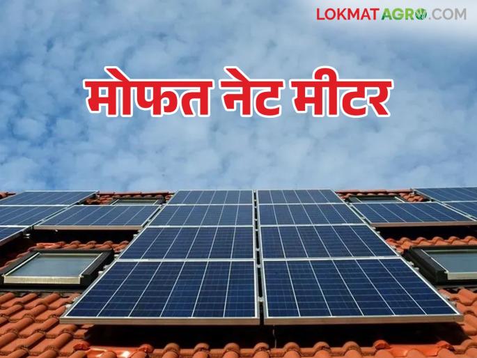 Mahavitaran will provide free solar net meters for solar energy generation; How to get the benefits | महावितरणकडून सौर ऊर्जानिर्मितीसाठी मिळणार मोफत सोलर नेट मीटर; कसा मिळेल लाभ Mahavitaran will provide free solar net meters for solar energy generation; How to get the benefits | महावितरणकडून सौर ऊर्जानिर्मितीसाठी मिळणार मोफत सोलर नेट मीटर; कसा मिळेल लाभ