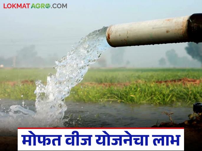 Re-examination of agricultural pump electricity bills begins; Now 'these' farmers will get the benefit of free electricity scheme | कृषिपंप वीजबिलाची पुनर्तपासणी सुरू; आता 'ह्या' शेतकऱ्यांना मिळणार मोफत वीज योजनेचा लाभ