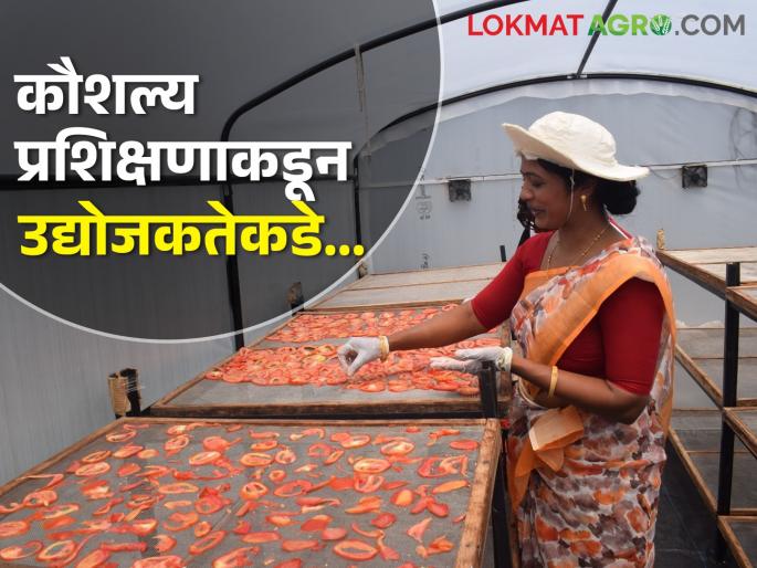 Latest News Progress of women into business through skill entrepreneurship training | Womens Day 2024 : कौशल्य प्रशिक्षणातून उभारला व्यवसाय, संसाराबरोबरच आता उद्योगात भरारी  Latest News Progress of women into business through skill entrepreneurship training | Womens Day 2024 : कौशल्य प्रशिक्षणातून उभारला व्यवसाय, संसाराबरोबरच आता उद्योगात भरारी