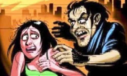 Molestation of woman employee in Nagpur | नागपुरात महिला कर्मचाऱ्याचा विनयभंग