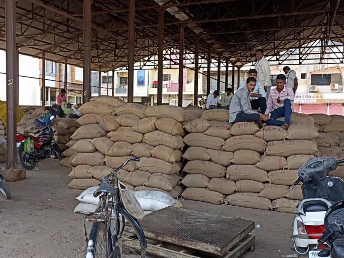 Transactions in six market committees of Hingoli district have come to a standstill against the amendment in the Marketing Act | पणन कायद्यातील दुरूस्ती विरोधात हिंगोली जिल्ह्यातील सहा बाजार समित्यातील व्यवहार बंद Transactions in six market committees of Hingoli district have come to a standstill against the amendment in the Marketing Act | पणन कायद्यातील दुरूस्ती विरोधात हिंगोली जिल्ह्यातील सहा बाजार समित्यातील व्यवहार बंद