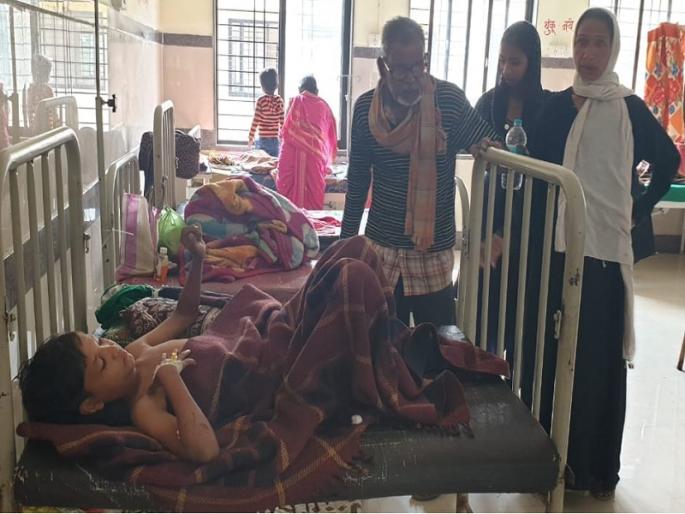 Hingoli apes; Twelve people took a bite | हिंगोलीत वानरांचा उच्छाद; बारा जणांना घेतला चावा Hingoli apes; Twelve people took a bite | हिंगोलीत वानरांचा उच्छाद; बारा जणांना घेतला चावा