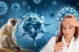 A monkey fever patient was found at Dagway; Health system alert | डेगवे येथे माकडतापाचा रुग्ण आढळला; आरोग्य यंत्रणा सतर्क A monkey fever patient was found at Dagway; Health system alert | डेगवे येथे माकडतापाचा रुग्ण आढळला; आरोग्य यंत्रणा सतर्क