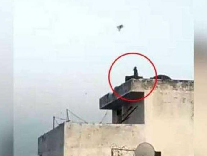 monkey flying kite funny video goes viral on social media | माकडचेष्टा नाही! माकड चक्क पतंग उडवतेय ते ही अगदी माणसाप्रमाणे, पाहा Video monkey flying kite funny video goes viral on social media | माकडचेष्टा नाही! माकड चक्क पतंग उडवतेय ते ही अगदी माणसाप्रमाणे, पाहा Video