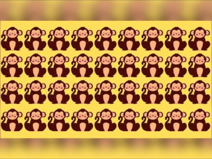 Optical Illusion : Find an unusual monkey within 7 seconds only genius can observe it | फोटोतील एक माकड आहे वेगळं, 7 सेकंदात शोधण्याचं आहे चॅलेंज!