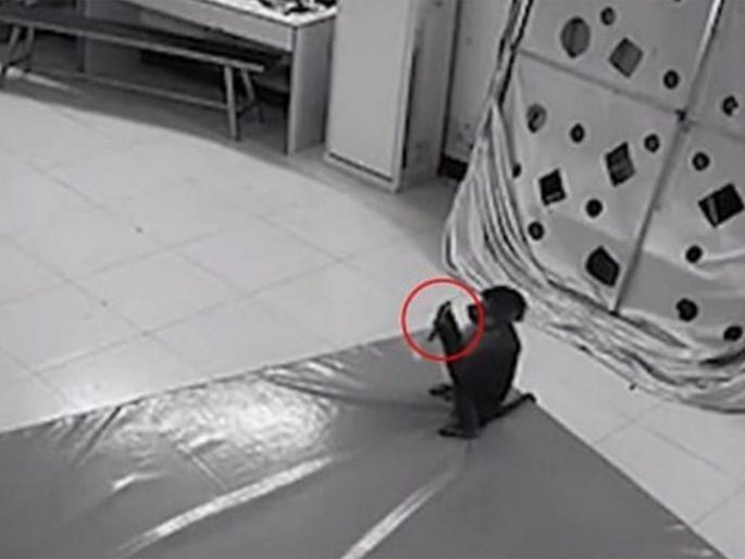 Monkey uses keeper's phone to do some online shopping after she left it lying around at Chinese zoo | बडे काम का बंदर! मोबाइल हाती लागताच करून टाकली ऑनलाईन शॉपिंग अन्... Monkey uses keeper's phone to do some online shopping after she left it lying around at Chinese zoo | बडे काम का बंदर! मोबाइल हाती लागताच करून टाकली ऑनलाईन शॉपिंग अन्...