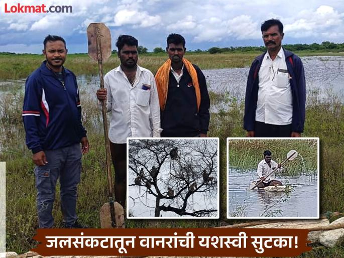 Parabhani: Monkeys trapped in water after 15 days without food successfully rescued | Jalana: १५ दिवसांपासून अन्नाविना तडफड, पाण्यात अडकलेल्या वानरांची यशस्वी सुटका Parabhani: Monkeys trapped in water after 15 days without food successfully rescued | Jalana: १५ दिवसांपासून अन्नाविना तडफड, पाण्यात अडकलेल्या वानरांची यशस्वी सुटका