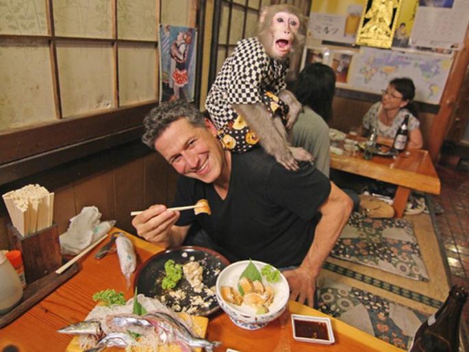 Awesome! Waiter's job is to do a monkey in a hotel | अजब गजब !  एक हॉटेल जिथे माकडं करतात वेटरचं काम Awesome! Waiter's job is to do a monkey in a hotel | अजब गजब !  एक हॉटेल जिथे माकडं करतात वेटरचं काम