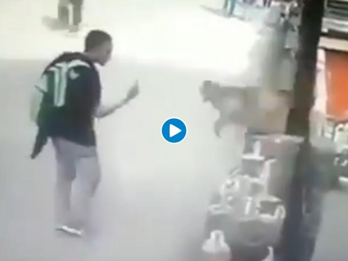 Paying back with interest, Monkey hit on boy face who teas him, Watch Video | Viral Video: माकडाशी पंगा घेऊ नका; नाहीतर अशी होईल गत! Paying back with interest, Monkey hit on boy face who teas him, Watch Video | Viral Video: माकडाशी पंगा घेऊ नका; नाहीतर अशी होईल गत!