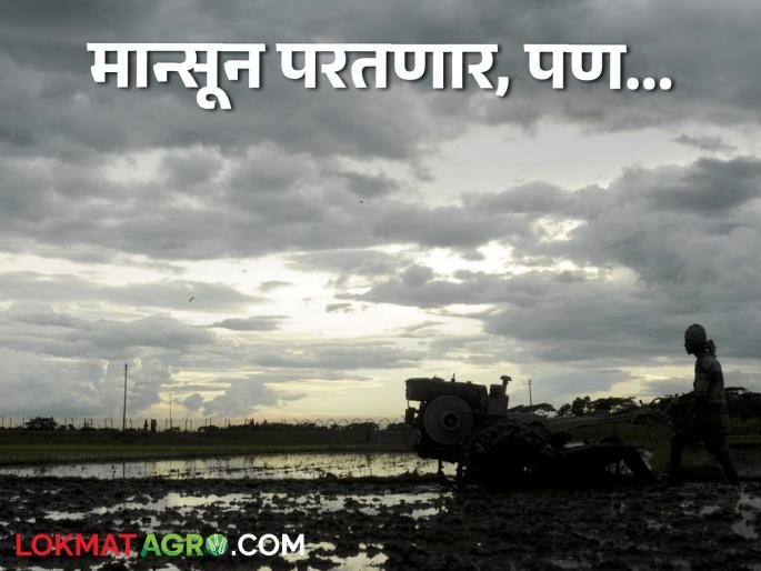 Latest News Maharashtra Rain Update Monsoon return from September 23 these district rain | Maharashtra Rain Update : 23 सप्टेंबरपासून मान्सून परतण्याची शक्यता, वाचा कुठे-कुठे पाऊस पडणार?  Latest News Maharashtra Rain Update Monsoon return from September 23 these district rain | Maharashtra Rain Update : 23 सप्टेंबरपासून मान्सून परतण्याची शक्यता, वाचा कुठे-कुठे पाऊस पडणार?