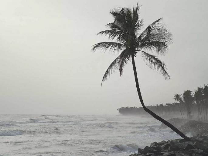 Monsoon 2024: Monsoon 2 days earlier in Kerala, next week in Maharashtra! | Monsoon 2024: केरळात २ दिवसआधी मॉन्सून, पुढील आठवड्यातच महाराष्ट्रात! Monsoon 2024: Monsoon 2 days earlier in Kerala, next week in Maharashtra! | Monsoon 2024: केरळात २ दिवसआधी मॉन्सून, पुढील आठवड्यातच महाराष्ट्रात!