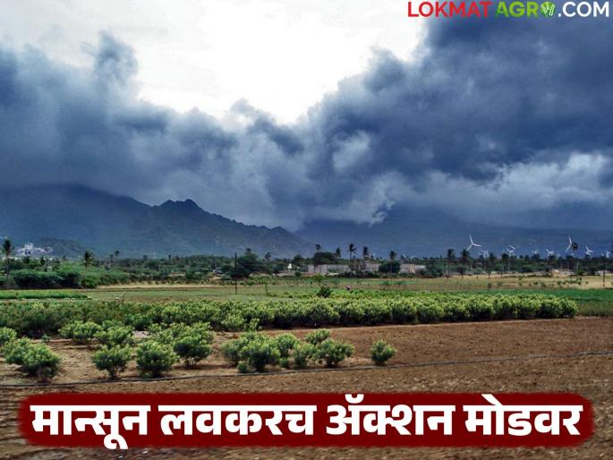 Monsoon will be active again; Heavy rains will again occur in these places in the state from June 13 | मान्सून पुन्हा सक्रिय होणार; १३ जूनपासून राज्यात या ठिकाणी पुन्हा धो-धो बरसणार Monsoon will be active again; Heavy rains will again occur in these places in the state from June 13 | मान्सून पुन्हा सक्रिय होणार; १३ जूनपासून राज्यात या ठिकाणी पुन्हा धो-धो बरसणार