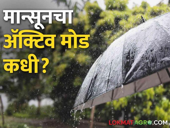 Maharashtra Weather Update: Monsoon will be active in the next week | Maharashtra Weather Update पुढील आठवड्यात मान्सून होणार सक्रिय Maharashtra Weather Update: Monsoon will be active in the next week | Maharashtra Weather Update पुढील आठवड्यात मान्सून होणार सक्रिय