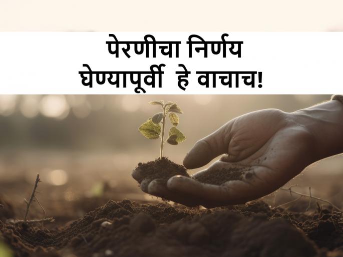 Monsoon forecast: read this Kikulogy series before sowing in this kharif | Monsoon Forecast: यंदाच्या मॉन्सून अंदाजावर पेरणी करताय? मग त्याआधी हे वाचाच! Monsoon forecast: read this Kikulogy series before sowing in this kharif | Monsoon Forecast: यंदाच्या मॉन्सून अंदाजावर पेरणी करताय? मग त्याआधी हे वाचाच!