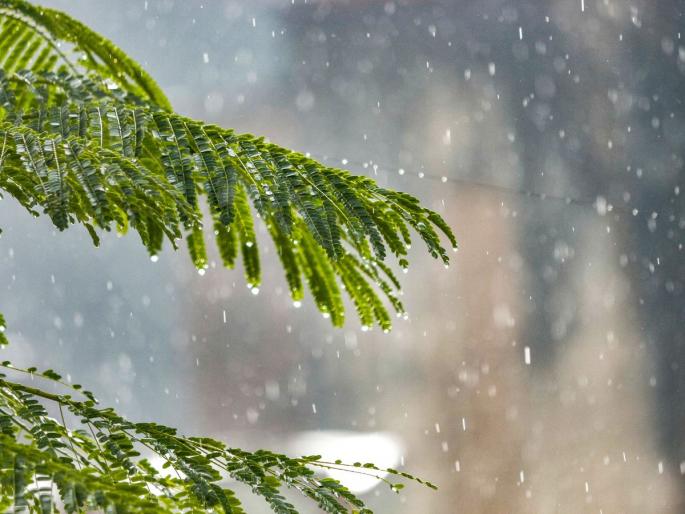 Monsoon Forecast 2025: What latest IMD monsoon prediction means for farmers | यावर्षी १०५ टक्के पाऊस होणार, हवामान विभागाचा मान्सूनबद्दलचा ताजा अंदाज Monsoon Forecast 2025: What latest IMD monsoon prediction means for farmers | यावर्षी १०५ टक्के पाऊस होणार, हवामान विभागाचा मान्सूनबद्दलचा ताजा अंदाज