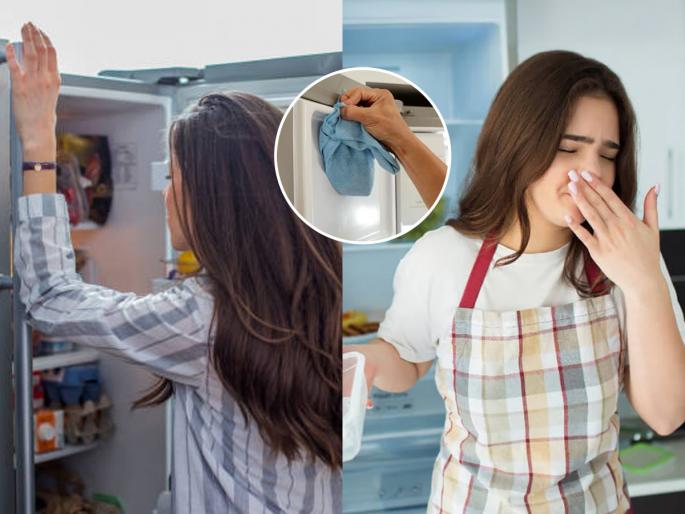 4 tips for monsoon fridge hacks Monsoon Fridge Care fridge odor removal during Monsoon Season monsoon kitchen tips moisture control in fridge | पावसाळ्यात फ्रिजमध्ये मीठ ठेवा, ही व्हायरल ट्रिक खरी आहे? खरंच फ्रिजमधला कुबट वास कमी होतो...