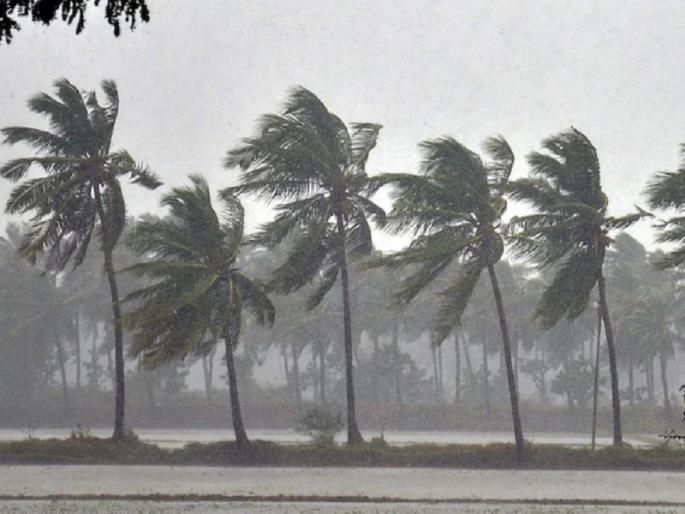 Good news Monsoon in Konkan in next two days monsoon update 2022 | आनंदवार्ता! अखेर महाराष्ट्रात मान्सून दाखल; सिंधुदुर्गात मान्सूनचे आगमन Good news Monsoon in Konkan in next two days monsoon update 2022 | आनंदवार्ता! अखेर महाराष्ट्रात मान्सून दाखल; सिंधुदुर्गात मान्सूनचे आगमन