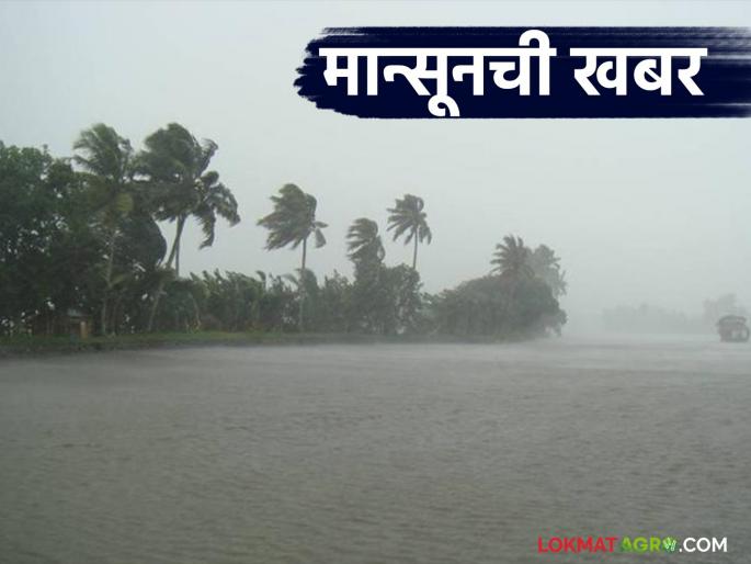Has the monsoon really arrived? Should we plan for sowing? Find out in detail | नक्की मान्सून आलाय का? पेरणीचे नियोजन करावे का? जाणून घ्या सविस्तर