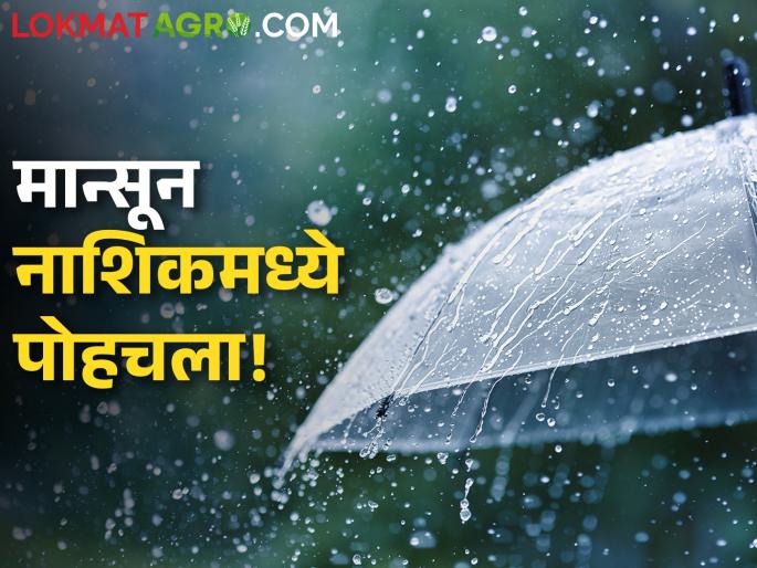 Latest News How far has monsoon reached today in maharashtra Read weather forecast | Maharashtra Monsoon Update : मान्सून आज कुठपर्यंत पोहोचला? वाचा पुढील पाच दिवसांचा हवामान अंदाज 