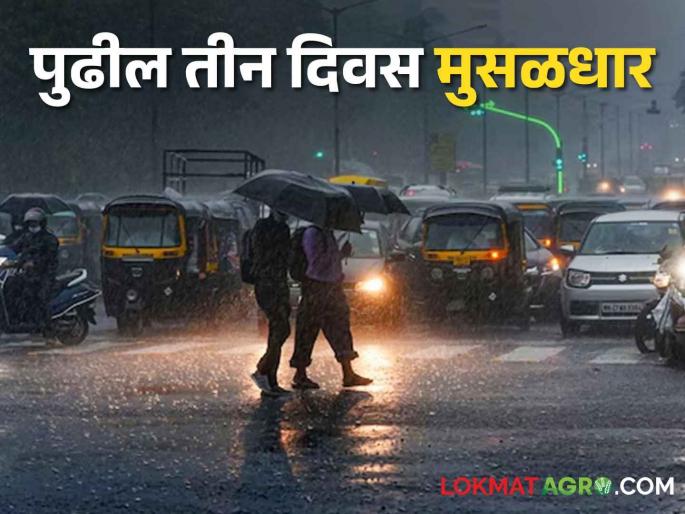 Maharashtra Weather Update Orange alert for rain with strong winds for the next three days in these districts of the state | Maharashtra Weather Update पुढील तीन दिवस राज्यातील या जिल्ह्यांना वादळी वाऱ्यासह पावसाचा ऑरेंज अलर्ट Maharashtra Weather Update Orange alert for rain with strong winds for the next three days in these districts of the state | Maharashtra Weather Update पुढील तीन दिवस राज्यातील या जिल्ह्यांना वादळी वाऱ्यासह पावसाचा ऑरेंज अलर्ट