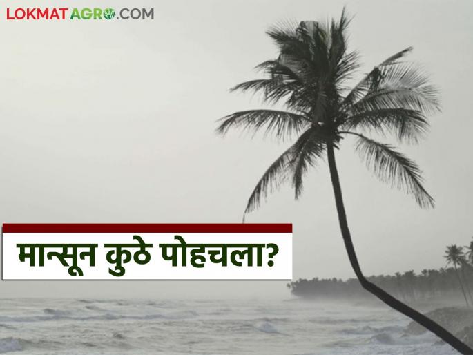 Monsoon is expected to arrive in Kerala in two days; When will it arrive in Maharashtra? | मान्सून दोन दिवसांत केरळमध्ये दाखल होण्याचा अंदाज; महाराष्ट्रात कधी होणार आगमन?