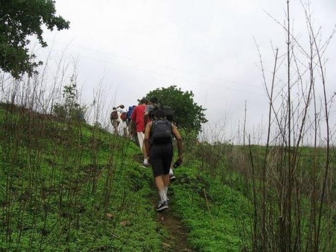 7 crucial things to remember while on a trek or a picnic in Monsoon | पावसाळ्यात फिरायला जाण्याचा प्लॅन करताय? या 7 गोष्टींची घ्या काळजी