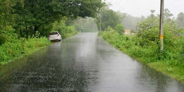 Nagpur received 3.8 mm of rainfall | नागपुरात 3.8 मिलिमीटर पावसाची नोंद