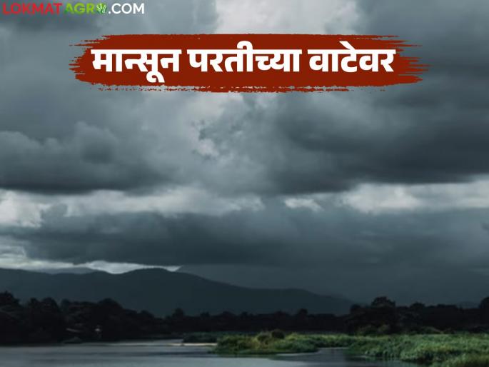 The rains will stop, the monsoon's return journey will begin; How do you know when the monsoon will leave? | पाऊस थांबणार, मान्सूनचा परतीचा प्रवास सुरु; मान्सून जाणार हे कसे समजते? The rains will stop, the monsoon's return journey will begin; How do you know when the monsoon will leave? | पाऊस थांबणार, मान्सूनचा परतीचा प्रवास सुरु; मान्सून जाणार हे कसे समजते?