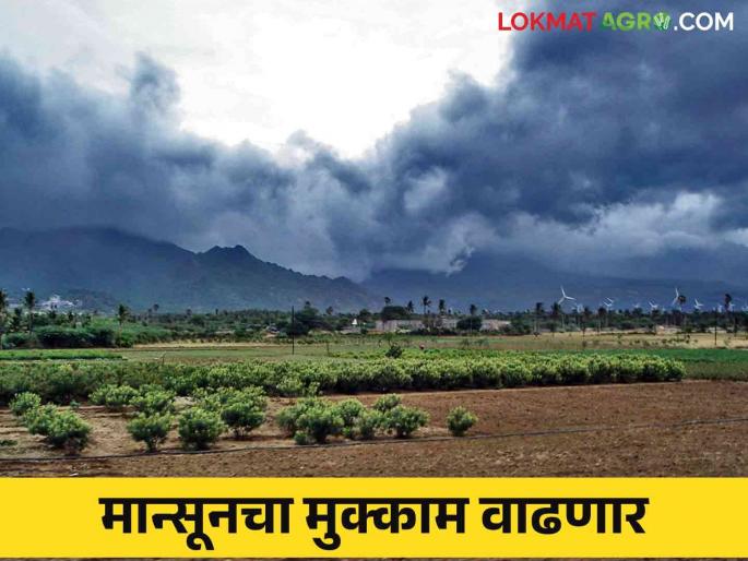 Maharashtra Weather Update : Monsoon stay will increase How much rain will fall in September-October | Maharashtra Weather Update : मान्सूनचा मुक्काम वाढणार सप्टेंबर-ऑक्टोबरमध्ये पडणार किती पाऊस