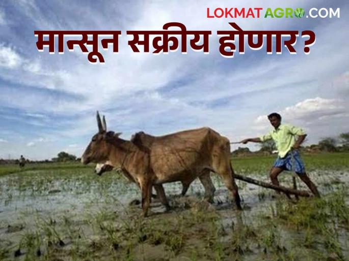 latest News Monsoon to become active across Maharashtra from 12 th june read in detail | Maharashtra Rain Alert : संपूर्ण महाराष्ट्रात 'या' तारखेपासून मान्सून सक्रिय होण्याची शक्यता, वाचा सविस्तर latest News Monsoon to become active across Maharashtra from 12 th june read in detail | Maharashtra Rain Alert : संपूर्ण महाराष्ट्रात 'या' तारखेपासून मान्सून सक्रिय होण्याची शक्यता, वाचा सविस्तर