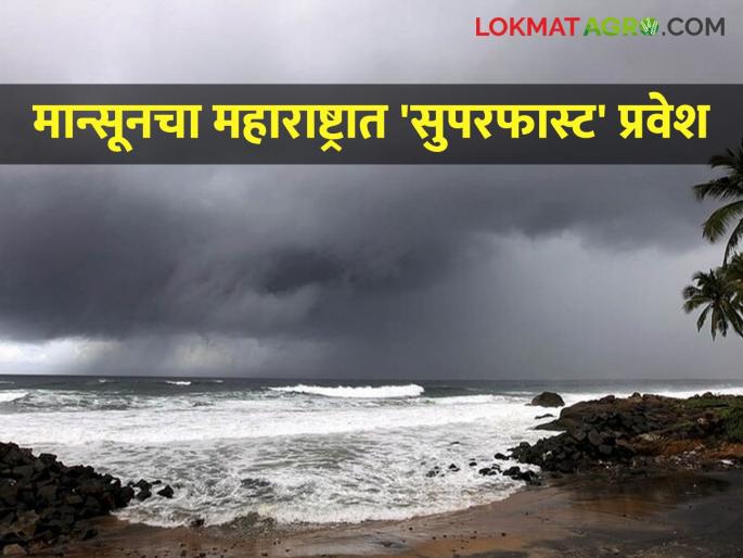 latest news Monsoon 2025: Monsoon on time in Maharashtra, but sowing off time? Know the advice of experts | Monsoon 2025 : मान्सून ऑनटाइम, पण पेरणी ऑफटाइम? जाणून घ्या तज्ज्ञांचा सल्ला