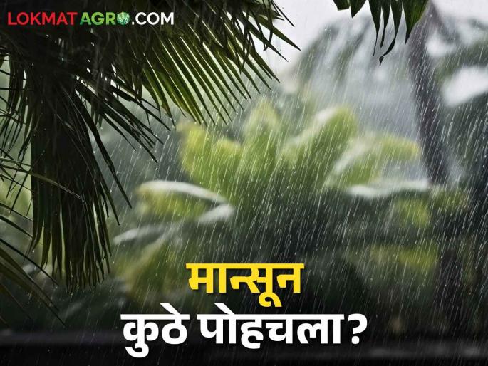 Monsson Update Monsoon has arrived in Goa, pre-monsoon rain forecast for this place in the state | Monsson Update मॉन्सून आला गोव्यात, राज्यात या ठिकाणी मॉन्सूनपूर्व पावसाचा अंदाज Monsson Update Monsoon has arrived in Goa, pre-monsoon rain forecast for this place in the state | Monsson Update मॉन्सून आला गोव्यात, राज्यात या ठिकाणी मॉन्सूनपूर्व पावसाचा अंदाज