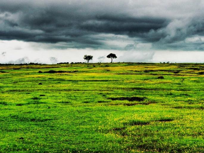 Good news for drought Maharashtra! Monsoon will rain heavily this year, Skymet rain forecast monsoon for India in 2024 | Maharashtra Monsoon: व्याकूळ महाराष्ट्रासाठी आनंदाची बातमी! यंदा मान्सून जोरदार बरसणार, स्कायमेटचा पावसाचा अंदाज Good news for drought Maharashtra! Monsoon will rain heavily this year, Skymet rain forecast monsoon for India in 2024 | Maharashtra Monsoon: व्याकूळ महाराष्ट्रासाठी आनंदाची बातमी! यंदा मान्सून जोरदार बरसणार, स्कायमेटचा पावसाचा अंदाज