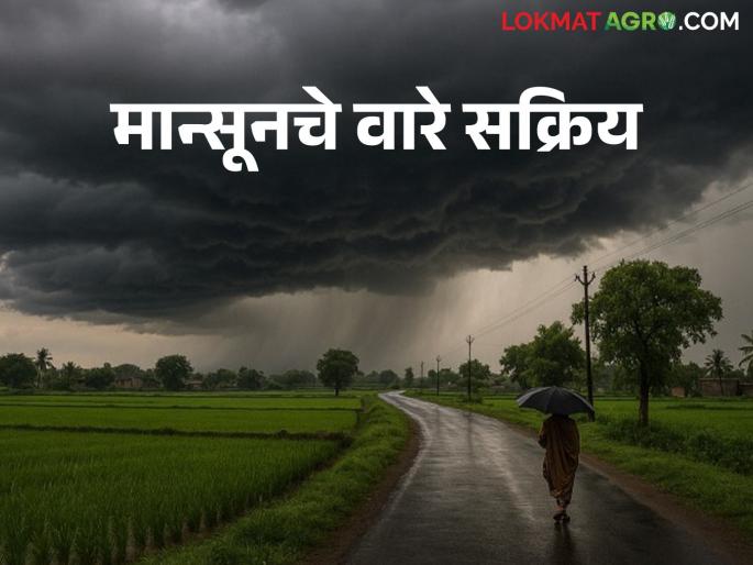 Cyclonic conditions have formed in both the seas; Heavy rains are likely in these parts of the state | दोन्ही समुद्रात तयार झाली चक्रीय स्थिती; राज्यात या ठिकाणी मुसळधार पावसाची शक्यता Cyclonic conditions have formed in both the seas; Heavy rains are likely in these parts of the state | दोन्ही समुद्रात तयार झाली चक्रीय स्थिती; राज्यात या ठिकाणी मुसळधार पावसाची शक्यता