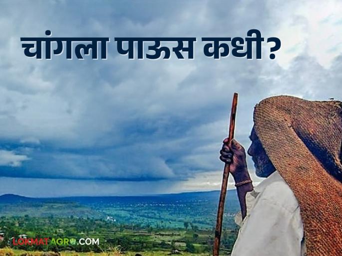 Maharashtra Weather: Waiting for rain in the state; It will rain after a week | Maharashtra Weather राज्यात पावसाची प्रतीक्षाच; एक आठवड्यानंतर पडणार असा पाऊस Maharashtra Weather: Waiting for rain in the state; It will rain after a week | Maharashtra Weather राज्यात पावसाची प्रतीक्षाच; एक आठवड्यानंतर पडणार असा पाऊस