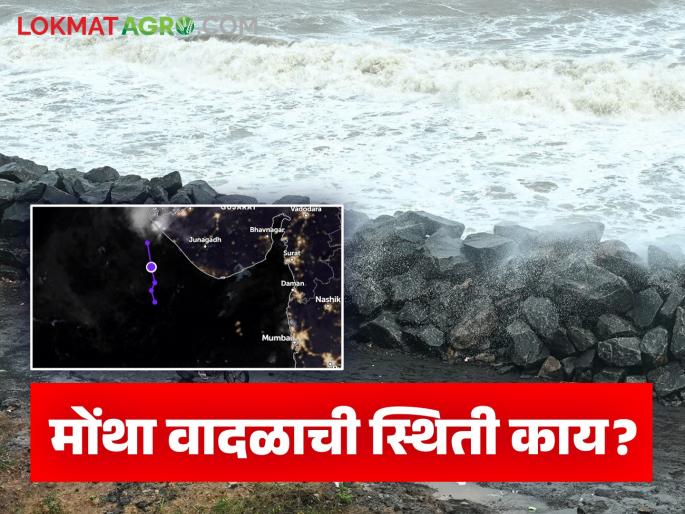 Latest News Maharashtra Rain Cyclone Montha has passed weather in Maharashtra has started to calm down | Maharashtra Rain : मोंथा चक्रीवादळ गेलं, महाराष्ट्रात वातावरण कधीपर्यंत निवळणार, हवामानाबाबत महत्वाची अपडेट