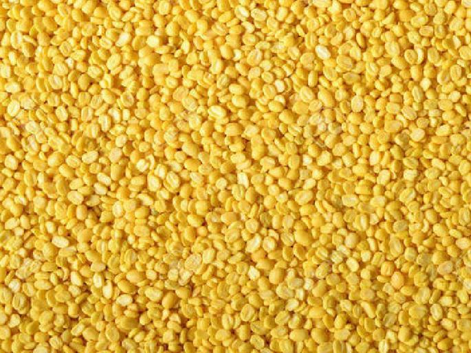 Mughdal Quintal rose by Rs 600 | मूगडाळ क्विंटलमागे ६०० रुपयांनी वधारली