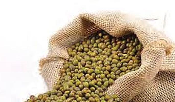 Mug procurment Center opened in all seven talukas; Short response of farmers | सातही तालुक्यांत मूग खरेदी केंद्र सुरू; शेतकऱ्यांचा अल्प प्रतिसाद Mug procurment Center opened in all seven talukas; Short response of farmers | सातही तालुक्यांत मूग खरेदी केंद्र सुरू; शेतकऱ्यांचा अल्प प्रतिसाद
