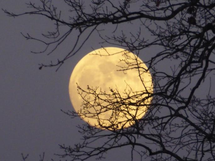 The moon will remain in the shadow of the earth for half an hour; Continental Lunar Eclipse on Saturday | सव्वा तास चंद्र राहील पृथ्वीच्या छायेत; शनिवारी खंडग्रास चंद्रग्रहण The moon will remain in the shadow of the earth for half an hour; Continental Lunar Eclipse on Saturday | सव्वा तास चंद्र राहील पृथ्वीच्या छायेत; शनिवारी खंडग्रास चंद्रग्रहण