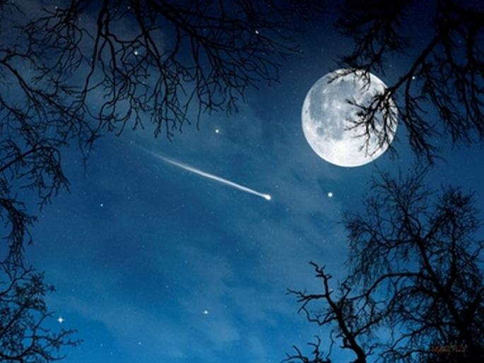 The moon puzzle 12 pound lunar meteorite up for sale auction in 5 lakh dollar | तुमच्या 'चांदणी'ला भेट द्या खराखुरा चंद्र; लिलाव लवकरच... The moon puzzle 12 pound lunar meteorite up for sale auction in 5 lakh dollar | तुमच्या 'चांदणी'ला भेट द्या खराखुरा चंद्र; लिलाव लवकरच...