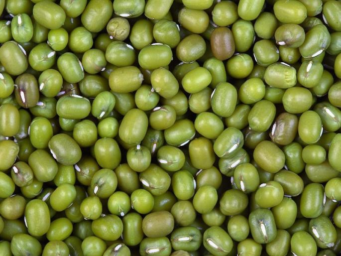 Farmers back to government guarantee centers | शासनाच्या हमीभाव केंद्रांकडे शेतकऱ्यांची पाठ