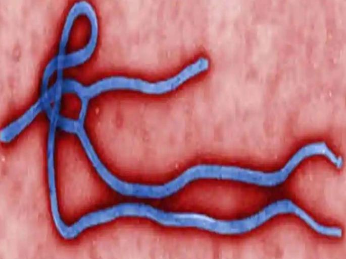 scientist who discovered deadly ebola disease is warning of more viruses to emerge in near future | कोरोनापेक्षा धोकादायक विषाणू येणार; इबोला शोधणाऱ्या संशोधकानं दिला धोक्याचा इशारा scientist who discovered deadly ebola disease is warning of more viruses to emerge in near future | कोरोनापेक्षा धोकादायक विषाणू येणार; इबोला शोधणाऱ्या संशोधकानं दिला धोक्याचा इशारा